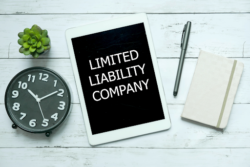 limited liability company